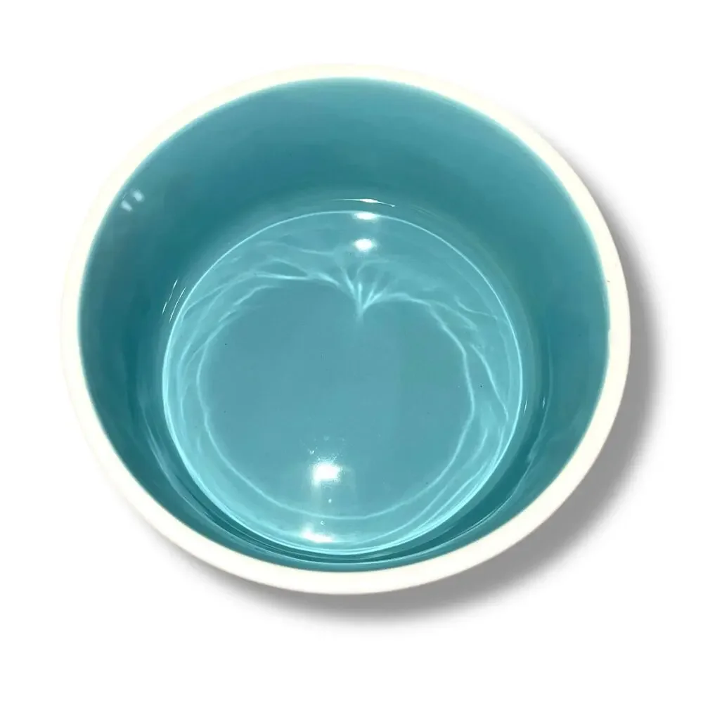 Rae Dunn Pet Dog Cat Dishes Food Bowls Nibble Devour Ceramic White Black Blue